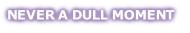 NEVER A DULL MOMENT